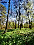 IMG_20250406_132028