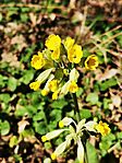 IMG_20250406_141426