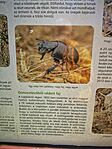 IMG_20250420_105532