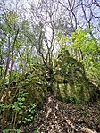 IMG_20250421_120542