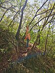 IMG_20250421_121640