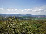 IMG_20250421_124315