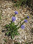 IMG_20250421_125223