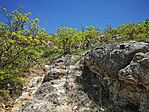 IMG_20250421_130330