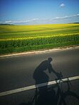 IMG_20250421_171909