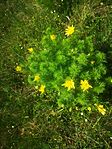 IMG_20250421_152635
