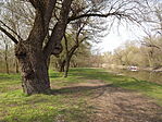 Szúnyog-sziget-1