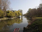 Szúnyog-sziget-7