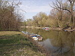 Szúnyog-sziget-8