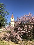 IMG_6398