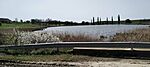 IMG20250416113231