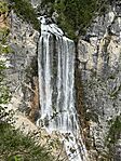 IMG_0738