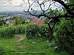 kilátás