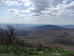 IMG_20250404_131159