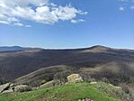 IMG_20250404_131203
