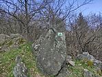 IMG_20250404_141450