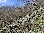 IMG_20250404_143306