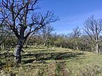 IMG_20250412_090252