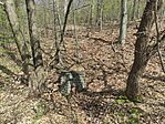 IMG_20250412_141030