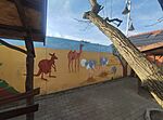 IMG_20250412_172258