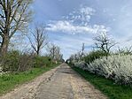 IMG_9639