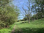 IMG_9650