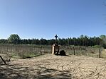 IMG_9903