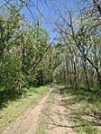 IMG_9904