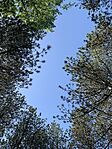 IMG_9906