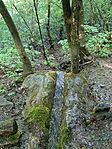 IMG_9849