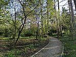 IMG_20250412_172441