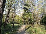 IMG_20250412_172446