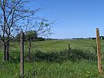IMG_20250427_155253