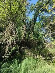 IMG_20250427_154901