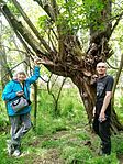 IMG_20250422_105214