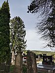 IMG_20250421_132022