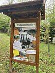 IMG_6261
