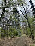 IMG_6274