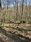 IMG_6337