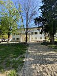 IMG_6326