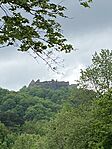 IMG_6391