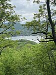 IMG_6375
