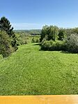 IMG_6458