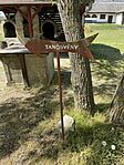 IMG_6407