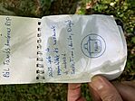 IMG_6516