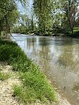 IMG_6551