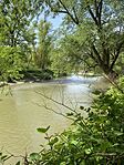 IMG_6549