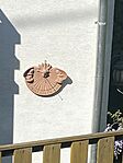 IMG_6704