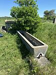 IMG_6665
