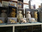 DSC01920